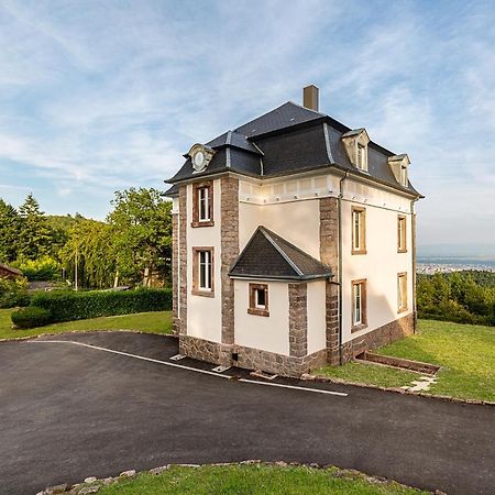 Gites Openroc - Vue Imprenable Sur Colmar 特鲁瓦埃皮 外观 照片