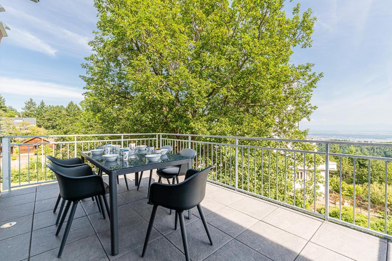 Gites Openroc - Vue Imprenable Sur Colmar 特鲁瓦埃皮 外观 照片